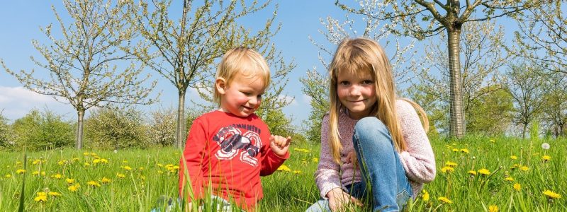 Vitamin d for Children